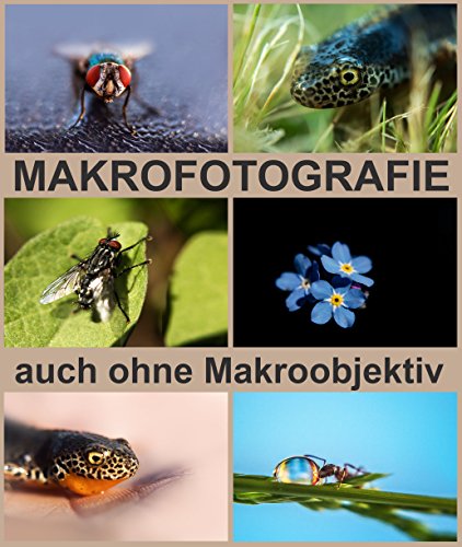 MAKROFOTOGRAFIE auch ohne Makroobjektiv zu tollen Makrofotos.