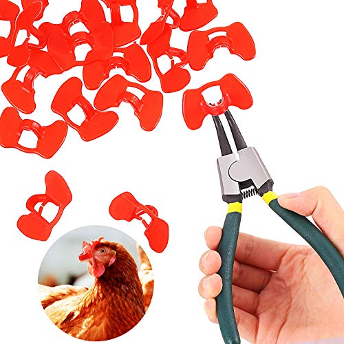 Boao 61 Stück Pinless Peepers für Huhn Peepers Fasan Geflügel Blinders Brillen Anti Picking Brillen Werkzeug für Haustier Mitte