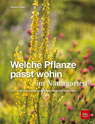 Welche Pflanze passt wohin im Naturgarten?: Die ideale Kombination aus Arterhalt und Schönheit (Gartengestaltung)