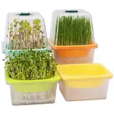 LUVCOSY 4 transparente Microgreens-Tabletts mit Kunststoff-Feuchtigkeitskuppel, BPA-freie Keimschale, Wiederverwendbare Samen-Starterschale für Anzucht von Katzengras, Brokkoli, Bohnensprossen