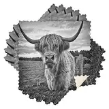 Highland Cow Küchen-Geschirrtücher, 6 Stück, Reinigungstücher zum Trocknen von Geschirr, Schrubben, Waschlappen für Spüle, Kochen, Backtisch, 27,9 x 27,9 cm, Isle of Mull Stil