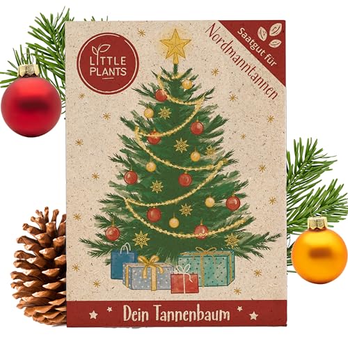 Little Plants Christbaum 2029, Nordmanntanne Pflanzen Samen, zum Weihnachtsbaum pflanzen, Tannenbaum Samen ideal als Geschenk, Wichtelgeschenk | Christbaum zum selbst pflanzen