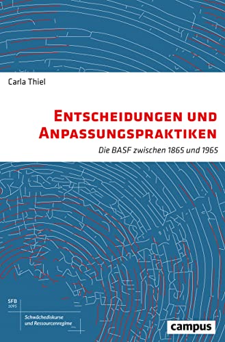 Entscheidungen und Anpassungspraktiken: Die BASF zwischen 1865 und 1965 (Schwächediskurse und Ressourcenregime|Discourses of Weakness & Resource Regimes, 10)