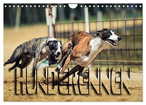 Hunderennen (Wandkalender 2025 DIN A4 quer), CALVENDO Monatskalender