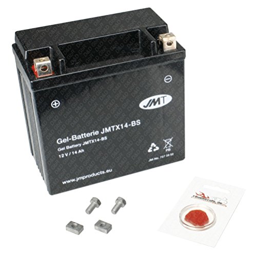 Gel-Batterie für Yamaha FZR 1000 Genesis Exup, 1991-1995 (Typ 3LE), 12 AH, wartungsfrei, inkl. Pfand €7,50