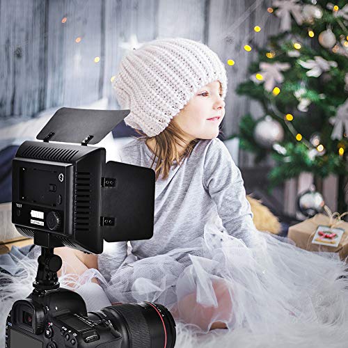 160 LED Video Light Panel Photography Lampe mit 6000k LED für DSLR-Kamera-DV-Camcorder, Hohe Helligkeit, Verstellbare Helligkeit, DC-Leistungseingang, NP-F-Batterieversorgung