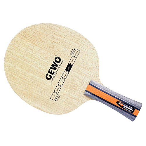 GEWO Holz Hybrid Carbon M/Speed Off-, konkav