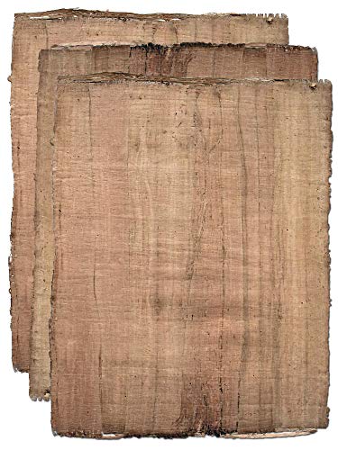 Forum Traiani Papyrus Antik-Papyrus 3 Blatt aus Ägypten, altertümlicher Papyr, Papyrusblätter, Papyrus-Papier aus dem Land der Pharaonen