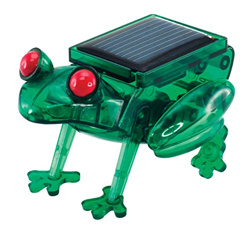 Solarbetriebener Frosch Solarmodell Solar Bausatz