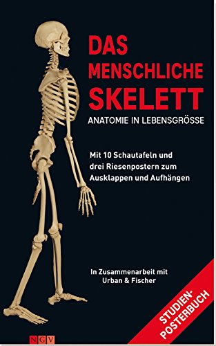 Das menschliche Skelett: Mit 10 Schautafeln und drei Riesenpostern zum Ausklappen und Aufhängen