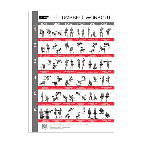 CLEAN SPORTS® Kurzhantel Workout Poster DinA1 mit sechs Ganzkörperworkouts zum Nachmachen | Dumbbell Sportposter für Hobbyraum oder Fitnesstudio (DinA1)