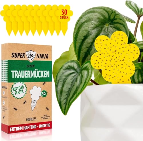 Super Ninja Trauermücken Bekämpfen - 30er Pack, hochwirksame Gelbtafeln für den Innenbereich, gelbe Klebefalle für Pflanzen, ungiftig und umweltfreundlich, gelbsticker 3 Monate verwendbar