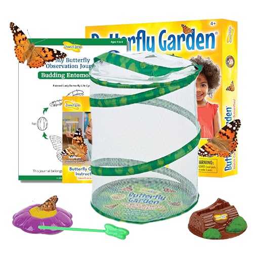 Insect Lore Lernspiele - Kit für die Zucht von Schmetterlingen