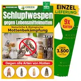 GREEN GUARDIA Schlupfwespen gegen Lebensmittelmotten - 9 Karten à 1 Lieferung - Effektiv & unweltfreundlich Lebensmittel Motten bekämpfen - Alternative zur Mottenfalle, Mottenspray, Pheromonfalle