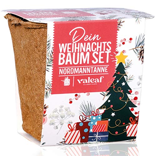 Weihnachtsbaum Anzucht Set I tolle Geschenk-Idee für Weihnachtsgeschenke, Wichtelgeschenke Weihnachten, Nikolausgeschenke und Garten Geschenke I Weihnachtsbaum aus der Dose I Pflanzset inkl. Zubehör