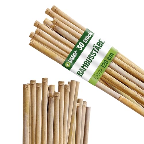 Control Garden Pack 30 Stück Bio Bambus Tutor 120 cm | Naturpfahl Zuckerrohr Pflanzenhalter Gartenstecker Pflanzstäbe Ø 8-10 | Stäbe Bäume, Gemüse, Reben und Pflanzen