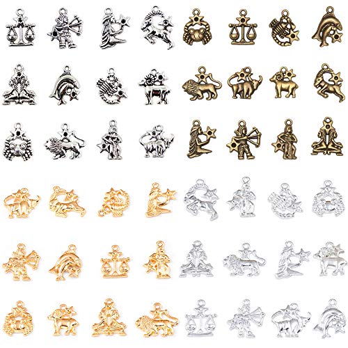 48 Stück Tierkreis Sternzeichen Anhänger Set, DIY Für Ohrringe, Halsketten, Armbänder, Handy-Ornamente und Anderes Zubehör