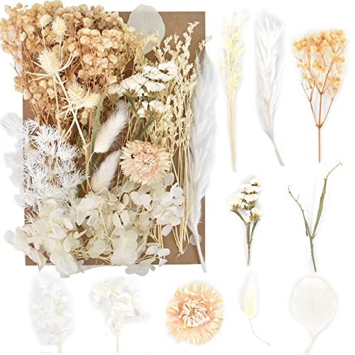 Trockenblumen Natur Set, Trockenblumen zum Basteln, Blumen Natürliche Gemischte, DIY Natürliche Getrocknet Blumen Set, Trockenblumen Resin für die Heimdekoration Und Handwerkliche Deko (Weiss)