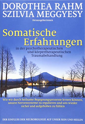 Somatische Erfahrungen in der psychotherapeutischen und körpertherapeutischen Traumabehandlung: Wie wir durch heilsame Begegnungsprozesse lernen ... uns wieder sicher und aufgehoben zu fühlen