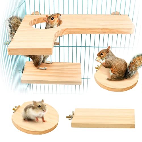 bangminda 5PCS Hamster Zubehör Set Kleintier Plattform Hamster Spielzeug für Käfig für Meerschweinchen Chinchilla Ratten Wellensittich Eichhörnchen Honiggleiter Sprungbrett Runde Rechteck(L)