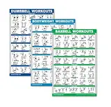 QuickFit 3er-Pack – Hantel-Workouts + Bodyweight Übungen + Langhantel-Übungen – Set mit 3 Trainingstabellen, laminiert, 18" x 27"