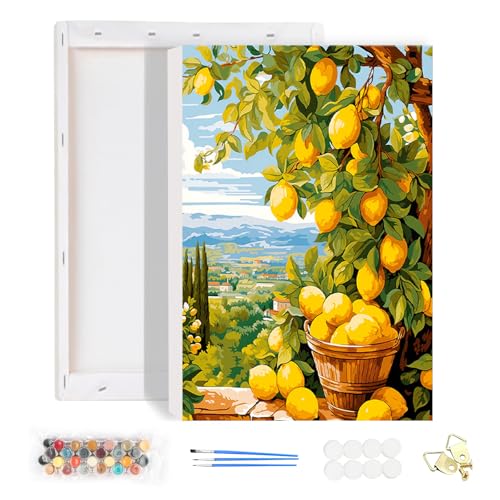 HEIBAGO Malen nach Zahlen für Erwachsene Mit Rahmen, DIY Frucht Malen nach Zahlen Kits für Anfänger, Ölmalerei Kunst Handwerk Bilder für Wanddekoration, 20x30cm
