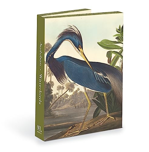 Nelson Line Audubon Waterbirds Notizkarten-Brieftasche mit Umschlägen, 11,4 x 15,2 cm, 12 Stück