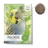 Vogelmiere Samen (Stellaria media) - Wertvolle Heilpflanze und beliebte Futterpflanze für Wellensittiche und viele andere Vögel (Vogelmiere)