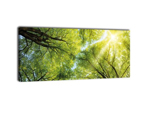 wandmotiv24 Leinwandbild Panorama Nr. 339 Baumkronen 100x40cm, Keilrahmenbild, Bild auf Leinwand, Wald Natur Geäst
