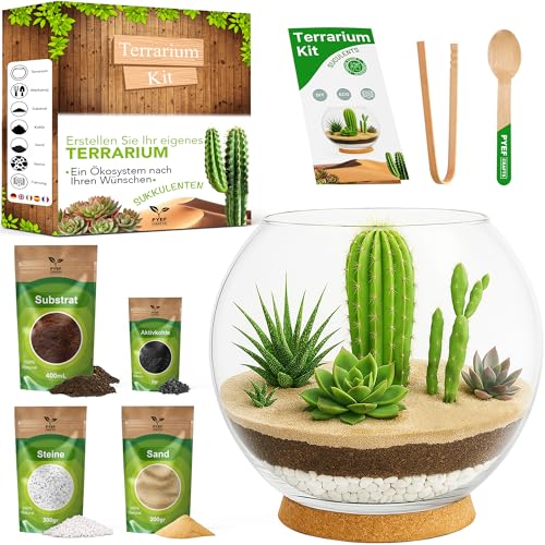 PYEF CRAFTS Terrarium-Set für Sukkulenten & Kakteen, DIY – Terrarium-Set, Glas, Ökosystem, Fischglas für Sukkulenten und natürliche Kakteen, ewiger Wüstengarten (ohne Pflanze) (2 l)