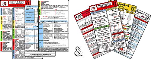 Schemata & Scores + Rettungsdienst Karten-Set (2in1 Set) - SSSS-Schema, ABCDE-Schema, Basics-Schema, IPAP-Schema, SAMPLER(!) S, FAST, OPQRST, PECH-Regel, 4Hs, HITS, KUSS