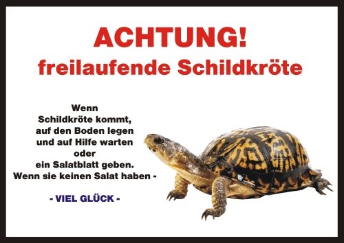 INDIGOS UG Türschild FunSchild - Schildkröte - für Käfig, Zwinger, Haustier, Tür, Tier, Aquarium - DIN A4 PVC 3mm stabil