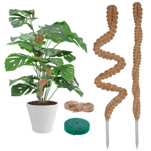 2 Pack Moosstab für Monstera - 60cm Biegsame Pflanzenstütze für Indoor, Rankhilfe Monstera, handgemachte Coco Coir Pole Pflanze Unterstützung für Creeper Pflanzen wachsen nach Oben