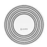 Plattenspieler-Stroboskop-Scheibe, Professionelle LP-Stroboskop-Scheibe, Geschwindigkeitsanpassung, Doppelseitiger Drehzahlmesser, Plattenspieler-Stroboskop-Scheibe für