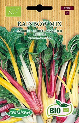 Germisem Mangold RAINBOW MIX, ECBIO7026