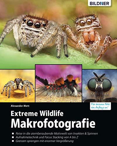 Extreme Wildlife-Makrofotografie: Eine Reise in die atemberaubende Welt von Insekten & Spinnen