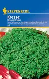 Kiepenkerl Kressesamen Krause 349 - Würziger aromatischer Geschmack, ideal für Salat, schnelle Ernte, einfach anzubauen, hoher Vitamingehalt, Samen für Garten und Balkon