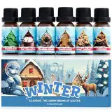 SNOWSEN Winterzeit Ätherische Öle Set, 6 x 10 ml Aromatherapie Ätherische Öle für Diffuser, Diffuser Öl, Seifenduftöl - Weihnachtskranz, Lebkuchen, Zuckerkekse, heiße Schokolade, Pfefferminze, Zimt