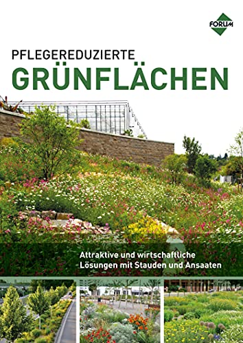 Pflegereduzierte Grünflächen: Attraktive und wirtschaftliche Lösungen mit Stauden und Ansaaten