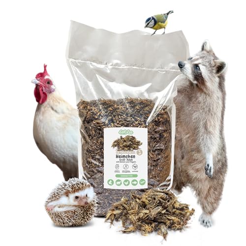 EntoZoo - getrocknete Grillen, Heimchen, Acheta Domesticus mit Beinen und Flügeln Futterinsekten, Vogelfutter, Igelfutter, Fischfutter, proteinreicher Snack für Reptilien Made in Germany (0,1 Kg)