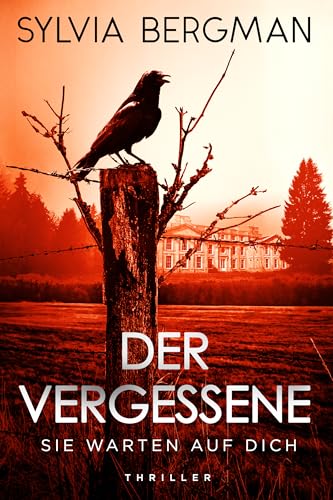 Der Vergessene: Sie warten auf dich – Ein atemberaubender Psychothriller