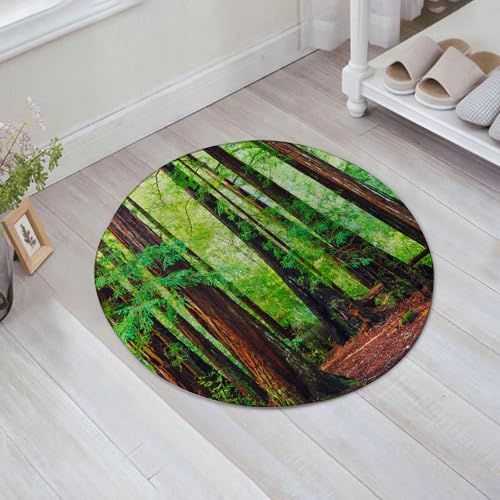 FSDGY Badvorleger Fußmatte Flauschig Teppich Badezimmerteppich Duschmatte für Bade & Wohnzimmer Schlafzimmer,Wald aus Mammutbäumen, nordwestlicher Regenwald,60x60 cm