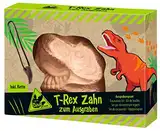 moses 4033477402523 T-Rex Zahn zum Ausgraben, Ausgrabungsset mit Dinosaurierzahn und Vulkansteinen, inkl. Kette und Ausgrabungswerkzeug, Dinosaurierfans, Mittel