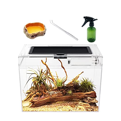 Reptile Growth Mini Terrarium Komplettset, 12" x 7"x 9" Faunarium für,Schnecken,Insekten,Wasserschildkröten，Vogelspinnen,Springspinne,Leopard Gecko,Bärtiger Drache ，Frosch,Aquarium,Einsiedlerkrebs