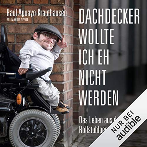 Dachdecker wollte ich eh nicht werden: Das Leben aus der Rollstuhlperspektive