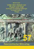 Unter dem Schutz von Rupert und Virgil Band 3: Die Burgen und Befestigungsanlagen im Erzstift Salzburg - Pinzgau