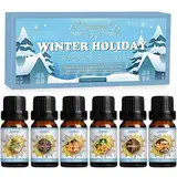 SALUBRITO Winter Ätherische Öle Set für Diffuser, Naturrein Aromatherapie Duftöl für Diffusor 6 x 10ml – Zimt, Weihnachtsbaum, Lebkuchen, Zuckerstangen, Gewürzmost, Zuckerplätzchen