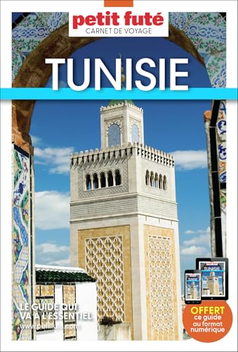 Guide Tunisie 2025 Carnet Petit Futé