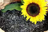 10 Kg Futterbauer Schwarze Sonnenblumenkerne Neue Ernte 2024 Vogelfutter