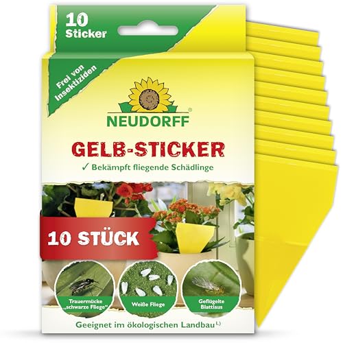 Neudorff Gelbsticker gegen kleine fliegende Schädlinge wie Trauermücken, insektizid frei, geruchlos, 10 Stück (1er Pack), Schwarz